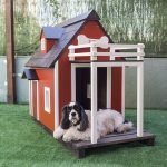 Venta de casas para perros