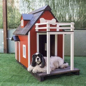 Venta de casas para perros