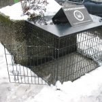 Venta de jaulas para perros