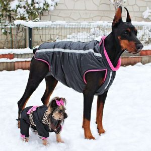 venta de ropa para perros